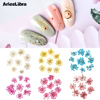 AriesLibra 10шт Звездное Скопление Цветок 3D Дизайн Ногтей Сушеный Цветок Настоящие Сохранившиеся Цветы Украшение Маникюра Наклейка Для Ногтей Аксессуары